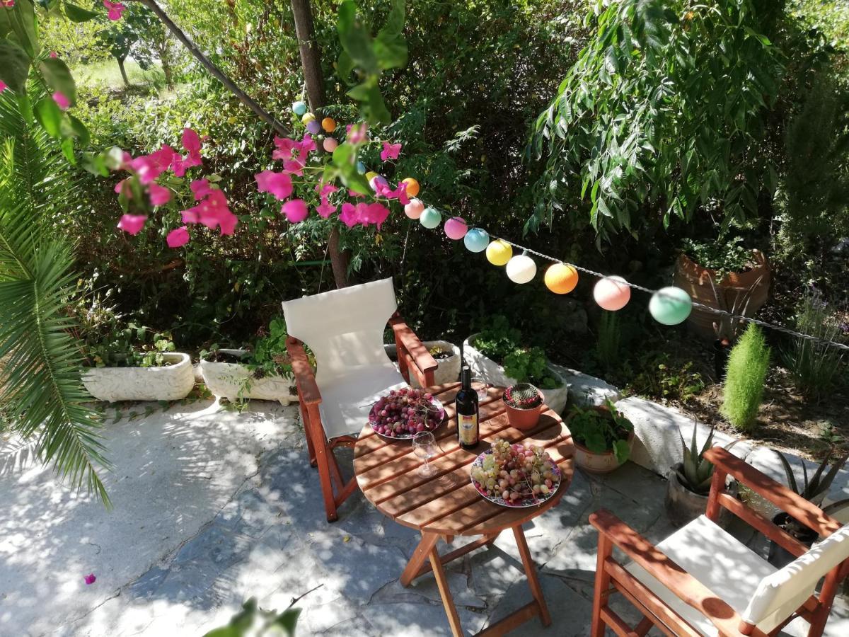Villa Daizy Boutique Apartments Laganás Eksteriør bilde