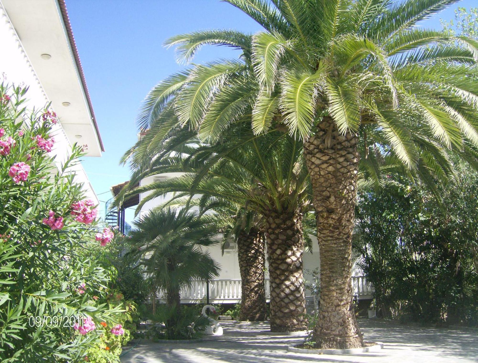 Villa Daizy Boutique Apartments Laganás Eksteriør bilde